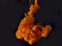 Foto projekt 365 12-27-2025 Dinamika fluida raznih gustoća na makro fotografiji Foto projekt 365 12-27-2025 Dinamika fluida raznih gustoća na makro fotografiji