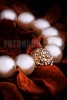 FOTONAUK - nakit #1