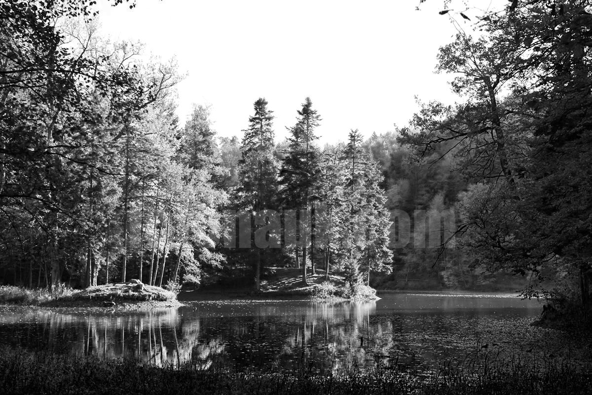 Fotonauk česte greške kod fotografiranja