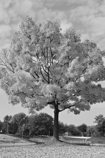 fotonauk cb green filter