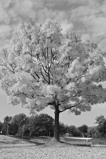 fotonauk cb orange filter