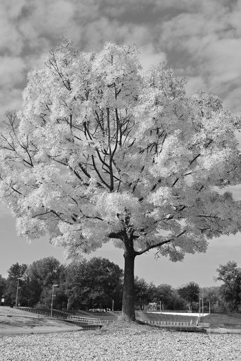 fotonauk cb red filter