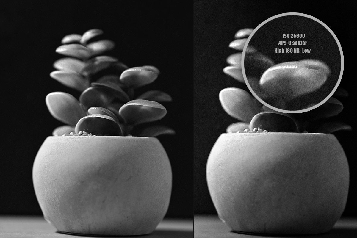 Fotonauk digitalni šum koji se pojavljuje kod podizanja ISO vrijednosti