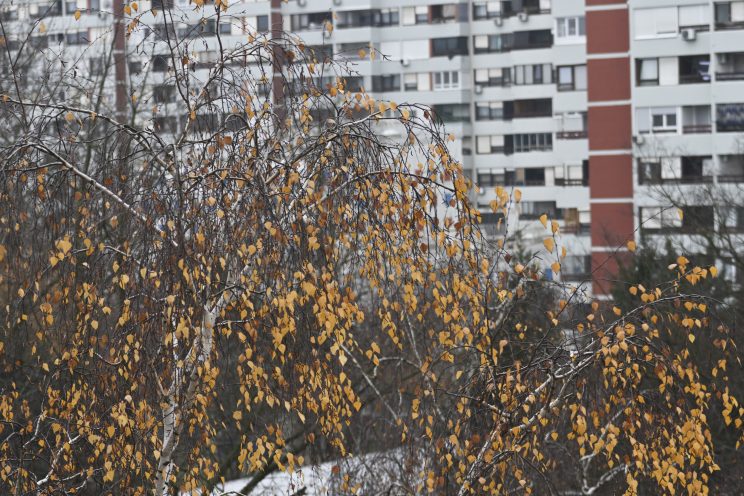 Fotonauk APS-C 100mm sa teleconvertrom 1.4x i crop faktor 1.5