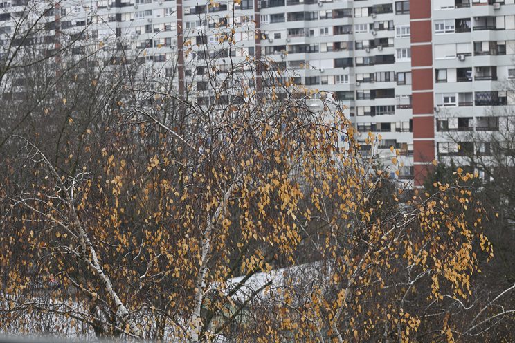 Fotonauk APS-C 70mm bez teleconvertera i crop faktor 1.5