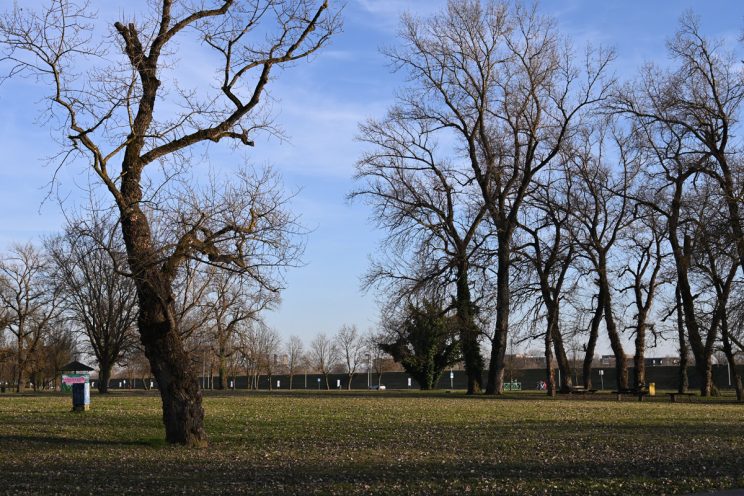 Nikon Manual mod bez kompenzacije EV