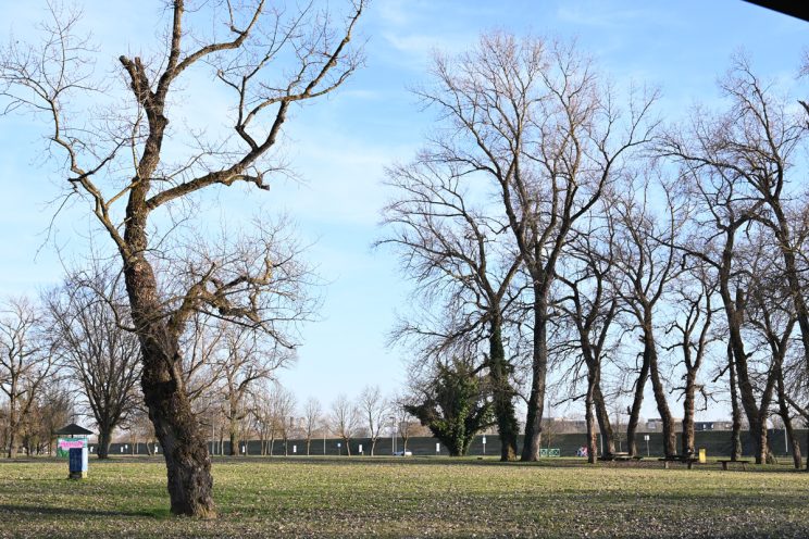 Nikon Manual mod s kompenzacijom 1EV