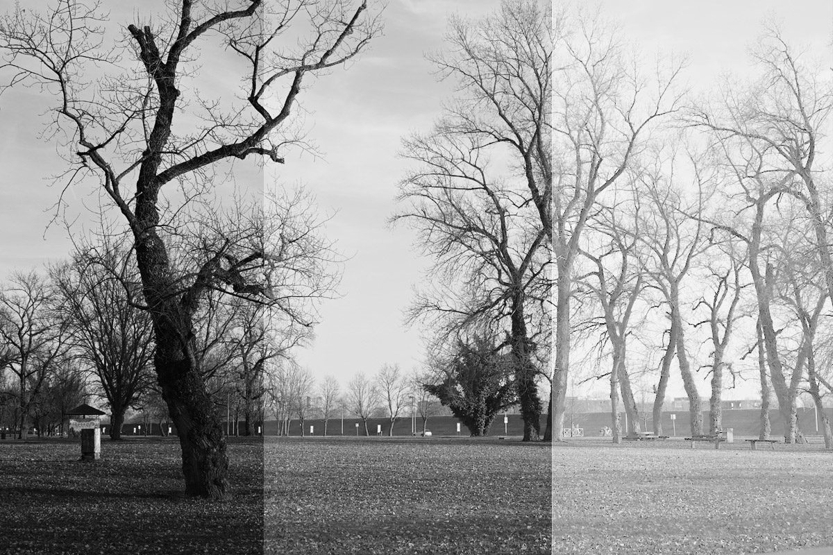 Fotonauk proljetno oštro svjetlo na fotografiji i kako ga ukrotiti