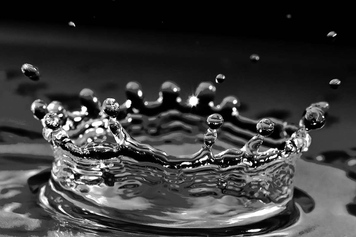 Fotonauk Close-up, Macro i Micro fotografija