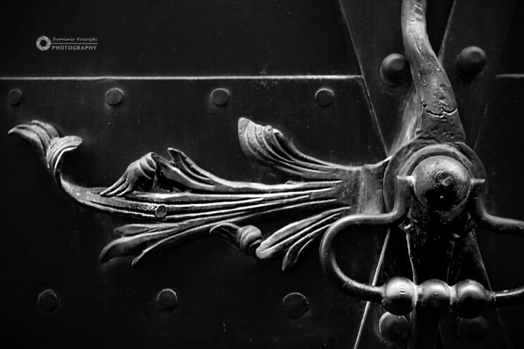 Fotonauk Close-up fotografija