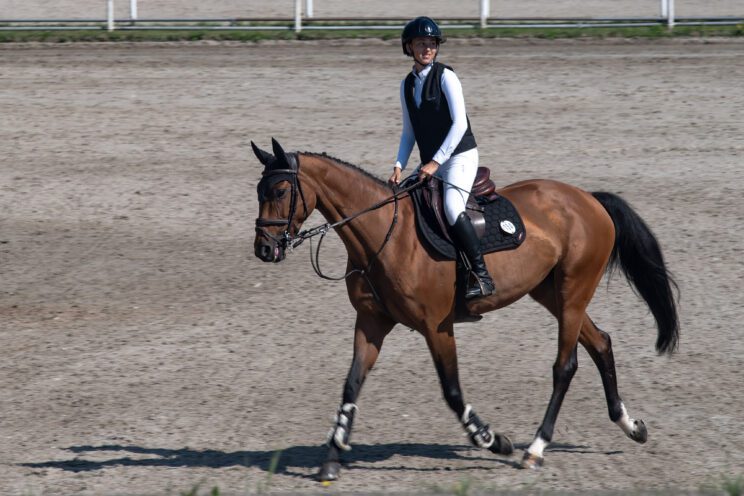 70. lipanjski konjički turnir iz FEI World Cup serije (CSI2*-W, CSI1* te CSIYH1*) u Zagrebu - 4. dan