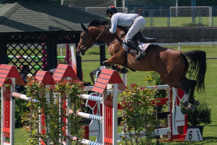 70. lipanjski konjički turnir iz FEI World Cup serije (CSI2*-W, CSI1* te CSIYH1*) u Zagrebu - 4. dan