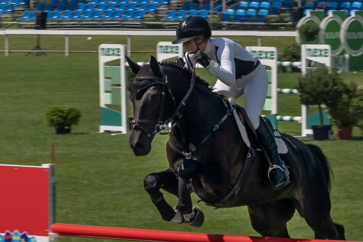 70. lipanjski konjički turnir iz FEI World Cup serije (CSI2*-W, CSI1* te CSIYH1*) u Zagrebu - 4. dan
