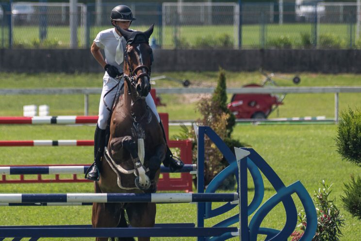 70. lipanjski konjički turnir iz FEI World Cup serije (CSI2*-W, CSI1* te CSIYH1*) u Zagrebu - 4. dan