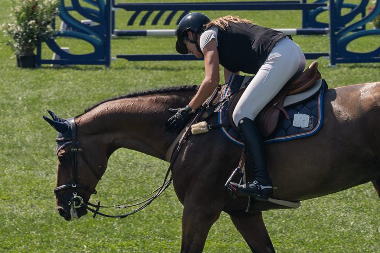 70. lipanjski konjički turnir iz FEI World Cup serije (CSI2*-W, CSI1* te CSIYH1*) u Zagrebu - 4. dan