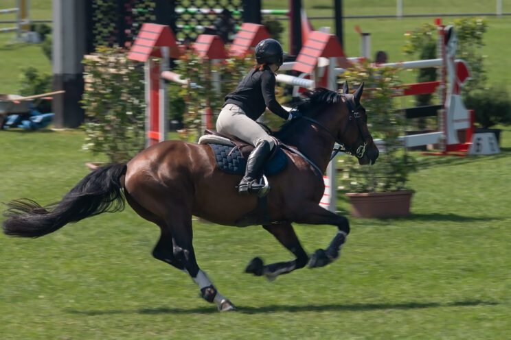 70. lipanjski konjički turnir iz FEI World Cup serije (CSI2*-W, CSI1* te CSIYH1*) u Zagrebu - 4. dan