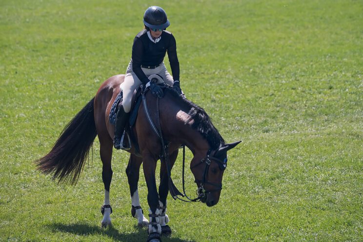 70. lipanjski konjički turnir iz FEI World Cup serije (CSI2*-W, CSI1* te CSIYH1*) u Zagrebu - 4. dan