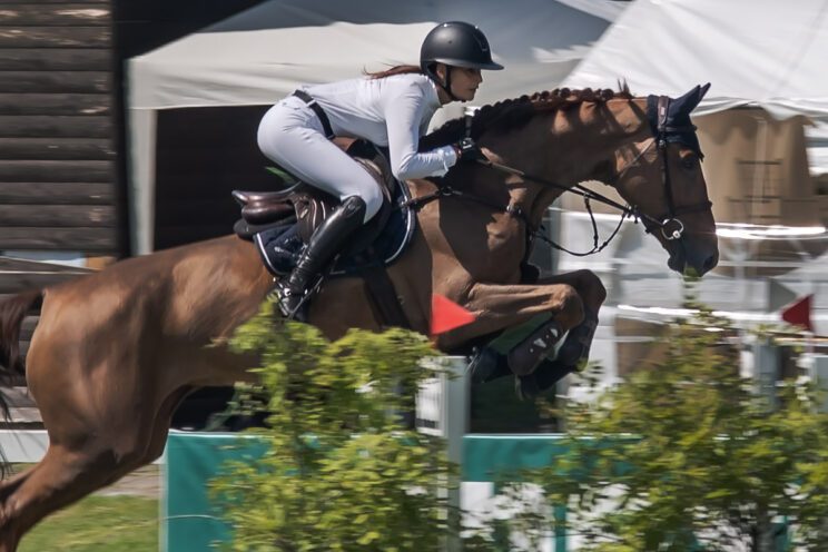 70. lipanjski konjički turnir iz FEI World Cup serije (CSI2*-W, CSI1* te CSIYH1*) u Zagrebu - 4. dan