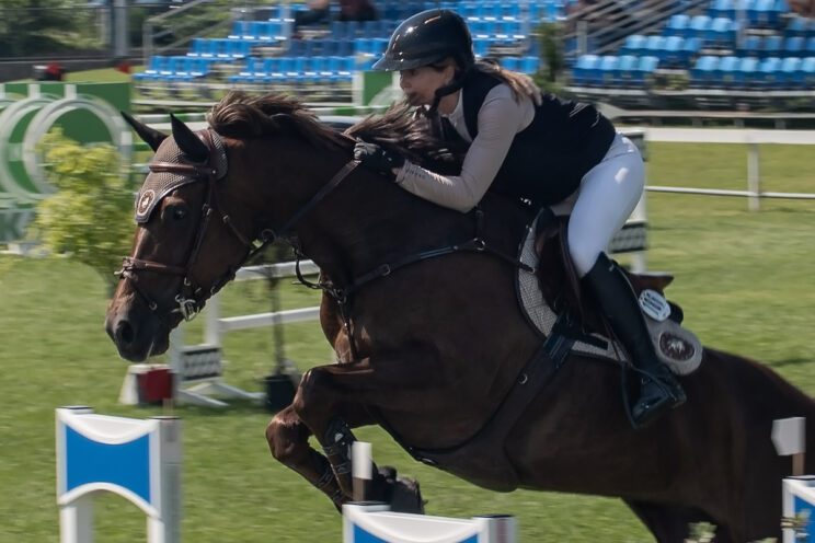 70. lipanjski konjički turnir iz FEI World Cup serije (CSI2*-W, CSI1* te CSIYH1*) u Zagrebu - 4. dan