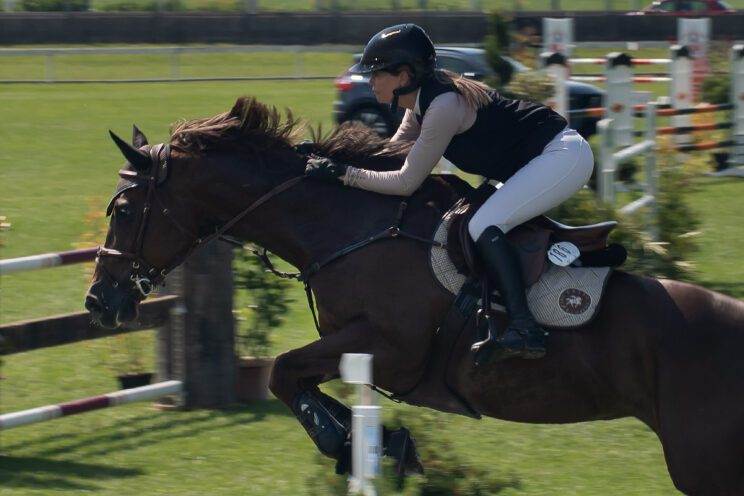 70. lipanjski konjički turnir iz FEI World Cup serije (CSI2*-W, CSI1* te CSIYH1*) u Zagrebu - 4. dan