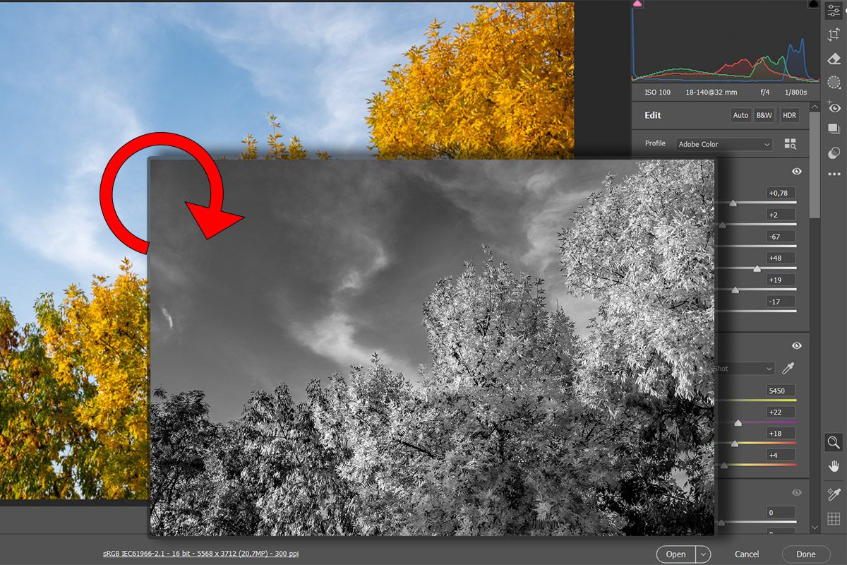 Što je bolje, RAW ili JPG za crno-bijelu fotografiju