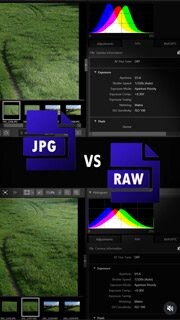 Fotonauk JPG ili RAW format Fotonauk JPG ili RAW format