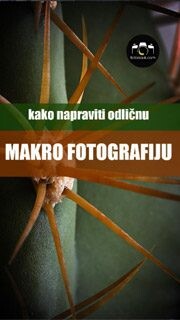 Fotonauk kako napraviti odličnu makro fotografiju Fotonauk kako napraviti odličnu makro fotografiju