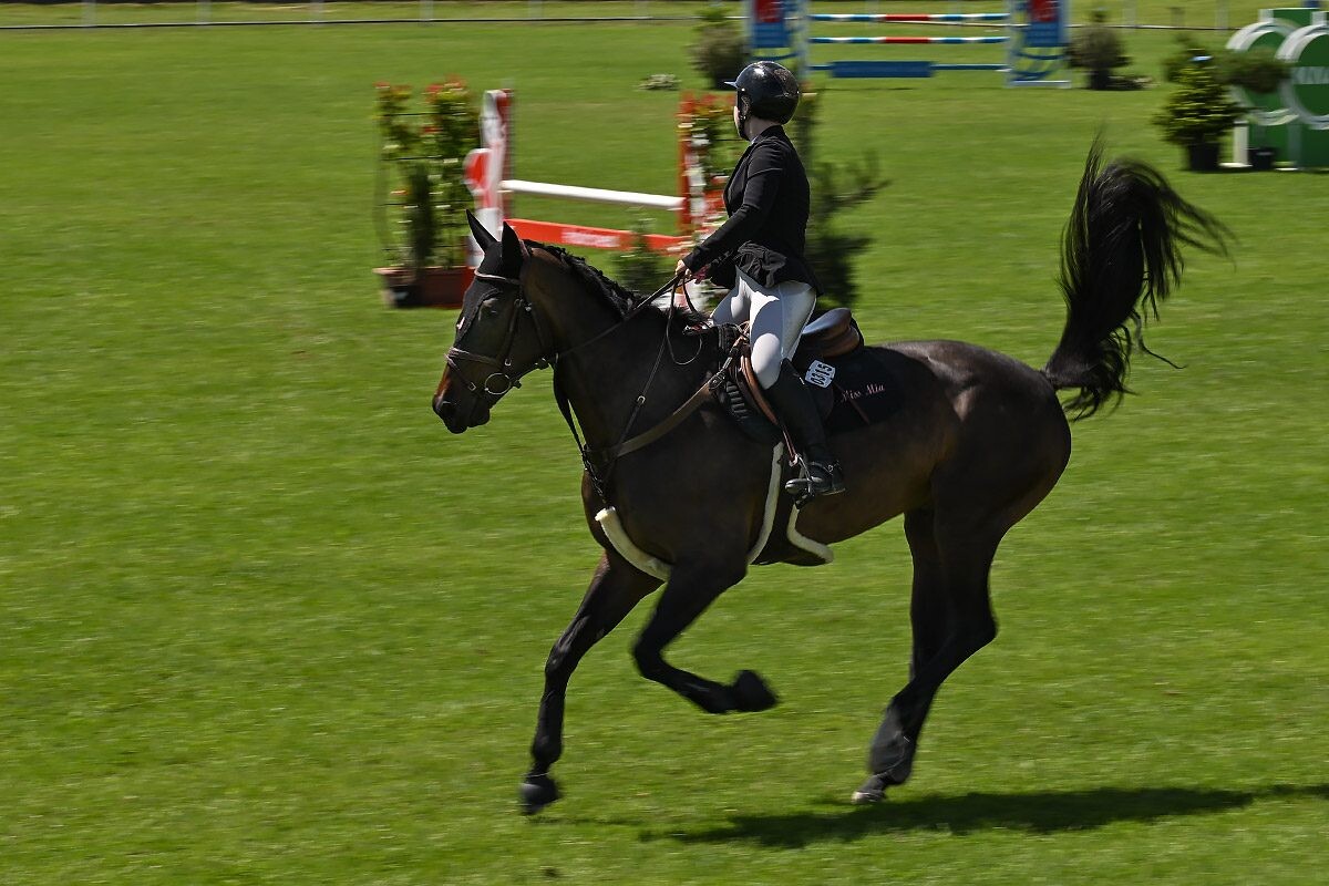 70. lipanjski konjički turnir iz FEI World Cup serije (CSI2*-W, CSI1* te CSIYH1*) u Zagrebu 70. lipanjski konjički turnir iz FEI World Cup serije (CSI2*-W, CSI1* te CSIYH1*) u Zagrebu