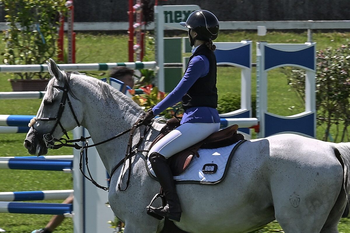 70. lipanjski konjički turnir iz FEI World Cup serije (CSI2*-W, CSI1* te CSIYH1*) u Zagrebu 70. lipanjski konjički turnir iz FEI World Cup serije (CSI2*-W, CSI1* te CSIYH1*) u Zagrebu