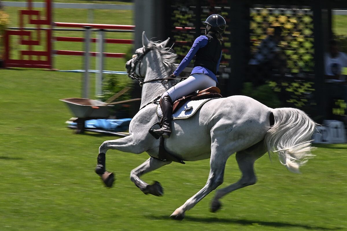 70. lipanjski konjički turnir iz FEI World Cup serije (CSI2*-W, CSI1* te CSIYH1*) u Zagrebu 70. lipanjski konjički turnir iz FEI World Cup serije (CSI2*-W, CSI1* te CSIYH1*) u Zagrebu