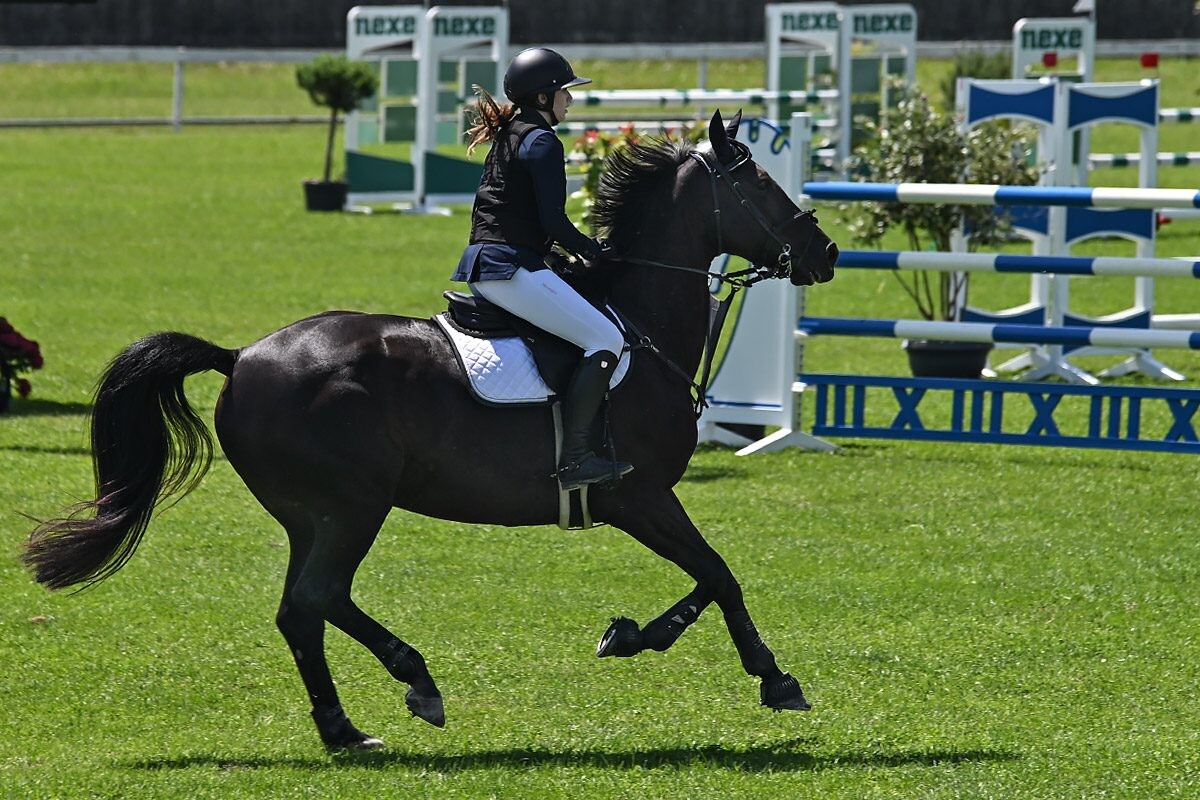70. lipanjski konjički turnir iz FEI World Cup serije (CSI2*-W, CSI1* te CSIYH1*) u Zagrebu 70. lipanjski konjički turnir iz FEI World Cup serije (CSI2*-W, CSI1* te CSIYH1*) u Zagrebu