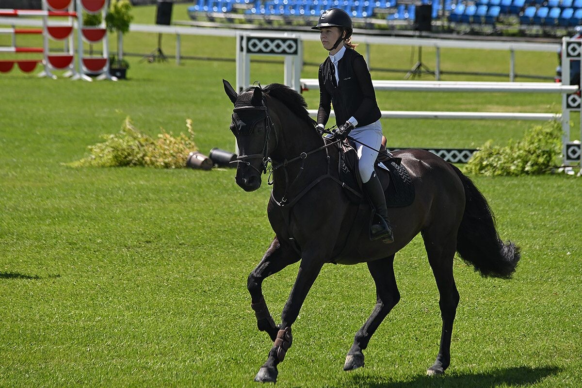 70. lipanjski konjički turnir iz FEI World Cup serije (CSI2*-W, CSI1* te CSIYH1*) u Zagrebu 70. lipanjski konjički turnir iz FEI World Cup serije (CSI2*-W, CSI1* te CSIYH1*) u Zagrebu