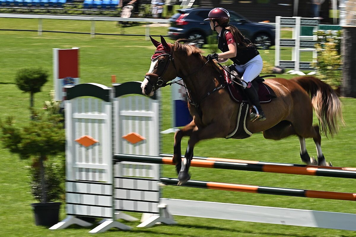 70. lipanjski konjički turnir iz FEI World Cup serije (CSI2*-W, CSI1* te CSIYH1*) u Zagrebu 70. lipanjski konjički turnir iz FEI World Cup serije (CSI2*-W, CSI1* te CSIYH1*) u Zagrebu
