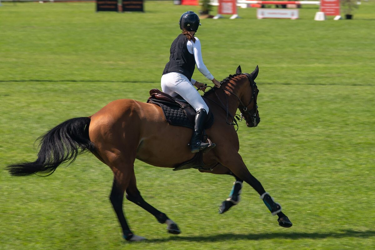 70. lipanjski konjički turnir iz FEI World Cup serije (CSI2*-W, CSI1* te CSIYH1*) u Zagrebu - 4. dan 70. lipanjski konjički turnir iz FEI World Cup serije (CSI2*-W, CSI1* te CSIYH1*) u Zagrebu - 4. dan