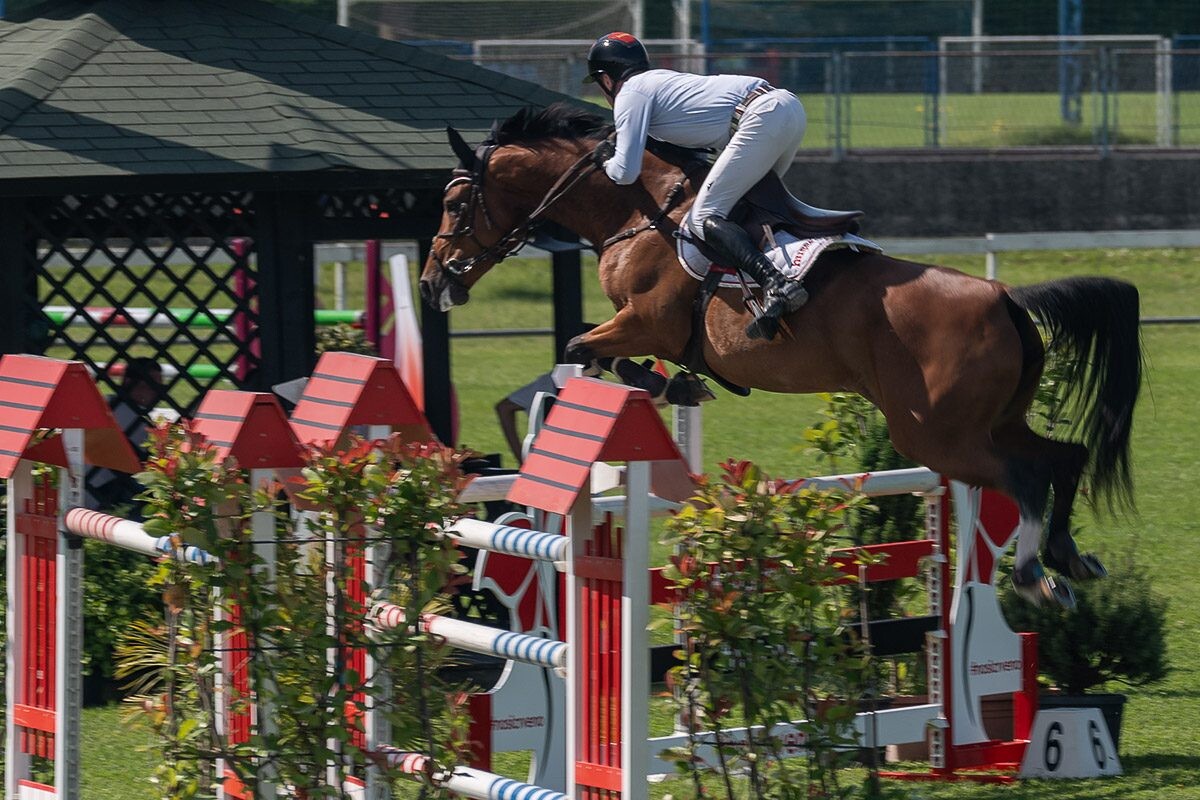 70. lipanjski konjički turnir iz FEI World Cup serije (CSI2*-W, CSI1* te CSIYH1*) u Zagrebu - 4. dan 70. lipanjski konjički turnir iz FEI World Cup serije (CSI2*-W, CSI1* te CSIYH1*) u Zagrebu - 4. dan