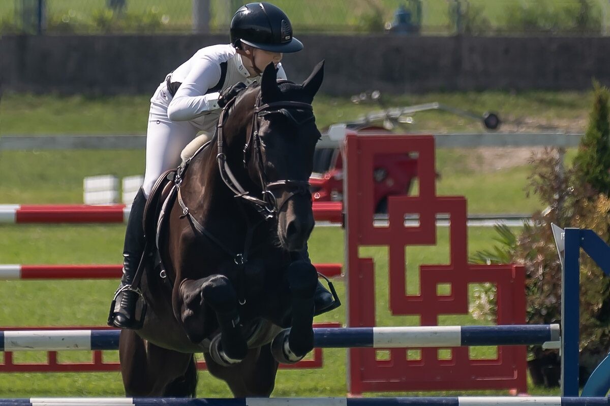 70. lipanjski konjički turnir iz FEI World Cup serije (CSI2*-W, CSI1* te CSIYH1*) u Zagrebu - 4. dan 70. lipanjski konjički turnir iz FEI World Cup serije (CSI2*-W, CSI1* te CSIYH1*) u Zagrebu - 4. dan