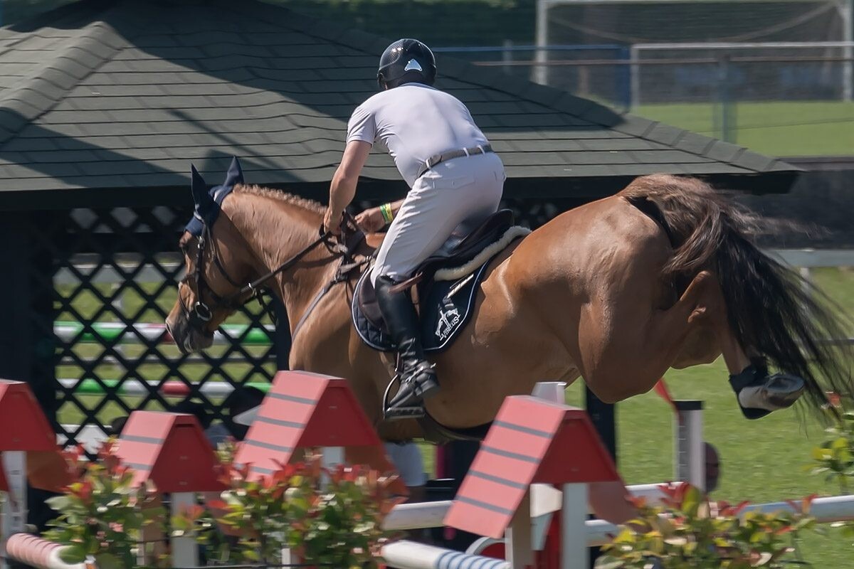 70. lipanjski konjički turnir iz FEI World Cup serije (CSI2*-W, CSI1* te CSIYH1*) u Zagrebu - 4. dan 70. lipanjski konjički turnir iz FEI World Cup serije (CSI2*-W, CSI1* te CSIYH1*) u Zagrebu - 4. dan