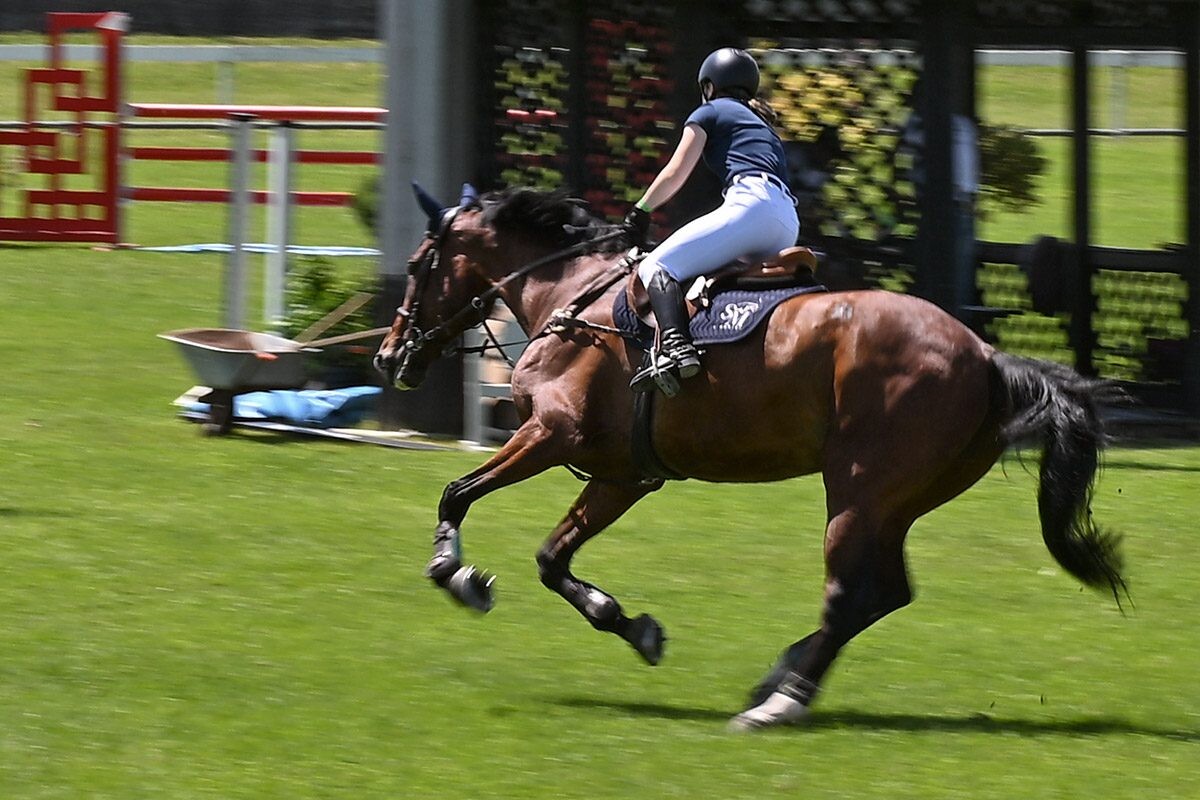 70. lipanjski konjički turnir iz FEI World Cup serije (CSI2*-W, CSI1* te CSIYH1*) u Zagrebu 70. lipanjski konjički turnir iz FEI World Cup serije (CSI2*-W, CSI1* te CSIYH1*) u Zagrebu