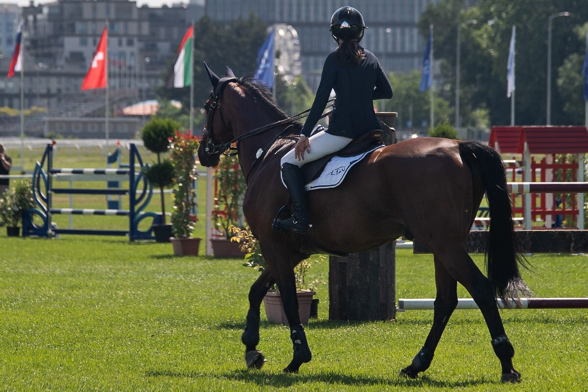 70. lipanjski konjički turnir iz FEI World Cup serije (CSI2*-W, CSI1* te CSIYH1*) u Zagrebu - 4. dan 70. lipanjski konjički turnir iz FEI World Cup serije (CSI2*-W, CSI1* te CSIYH1*) u Zagrebu - 4. dan