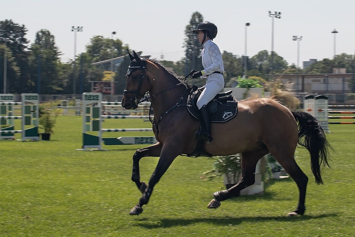 70. lipanjski konjički turnir iz FEI World Cup serije (CSI2*-W, CSI1* te CSIYH1*) u Zagrebu - 4. dan 70. lipanjski konjički turnir iz FEI World Cup serije (CSI2*-W, CSI1* te CSIYH1*) u Zagrebu - 4. dan