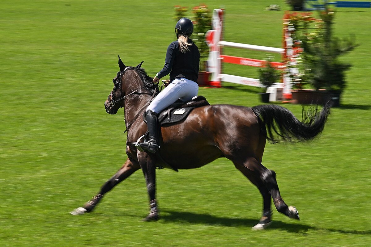 70. lipanjski konjički turnir iz FEI World Cup serije (CSI2*-W, CSI1* te CSIYH1*) u Zagrebu 70. lipanjski konjički turnir iz FEI World Cup serije (CSI2*-W, CSI1* te CSIYH1*) u Zagrebu