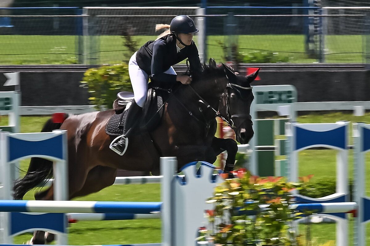 70. lipanjski konjički turnir iz FEI World Cup serije (CSI2*-W, CSI1* te CSIYH1*) u Zagrebu 70. lipanjski konjički turnir iz FEI World Cup serije (CSI2*-W, CSI1* te CSIYH1*) u Zagrebu