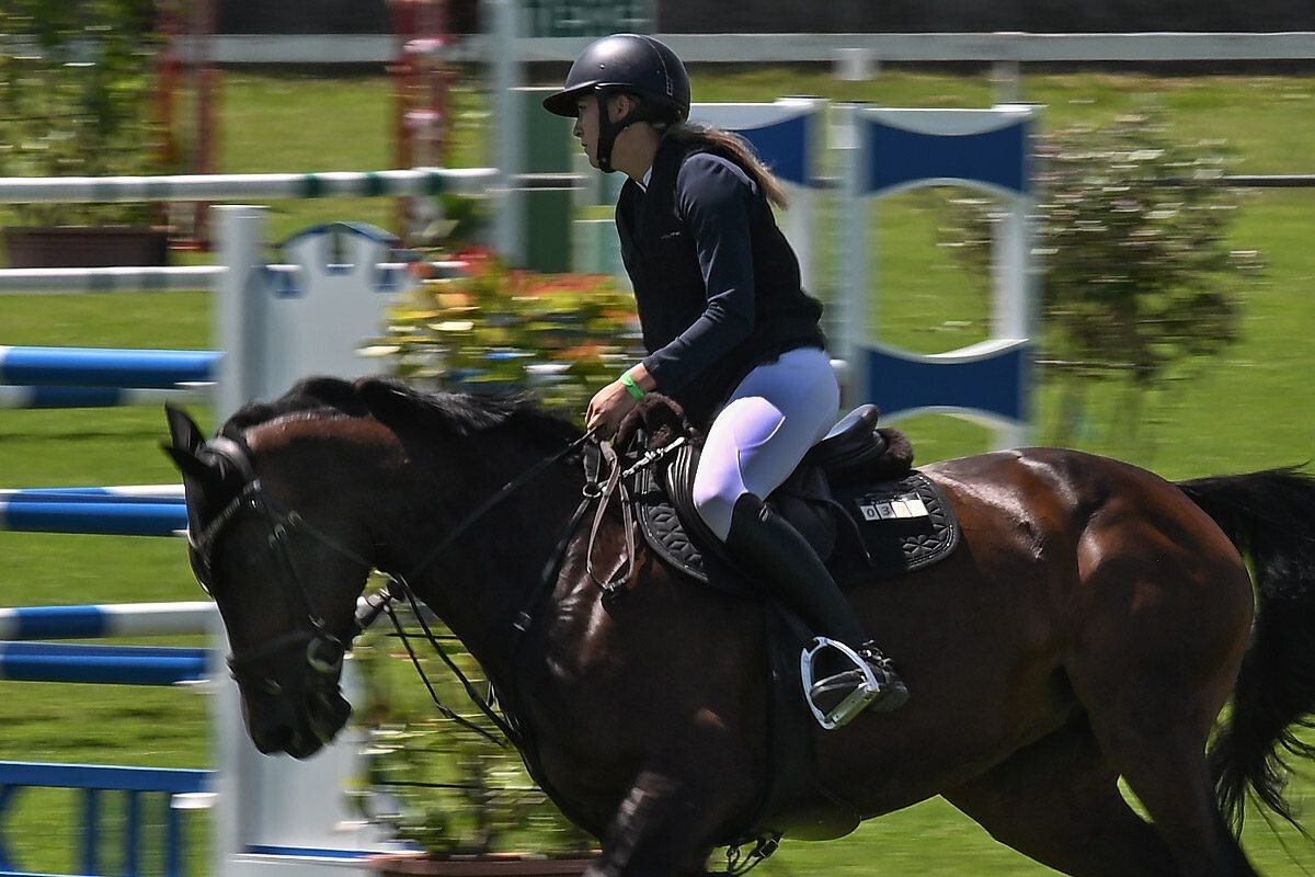 70. lipanjski konjički turnir iz FEI World Cup serije (CSI2*-W, CSI1* te CSIYH1*) u Zagrebu 70. lipanjski konjički turnir iz FEI World Cup serije (CSI2*-W, CSI1* te CSIYH1*) u Zagrebu