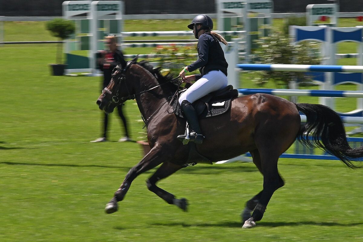 70. lipanjski konjički turnir iz FEI World Cup serije (CSI2*-W, CSI1* te CSIYH1*) u Zagrebu 70. lipanjski konjički turnir iz FEI World Cup serije (CSI2*-W, CSI1* te CSIYH1*) u Zagrebu